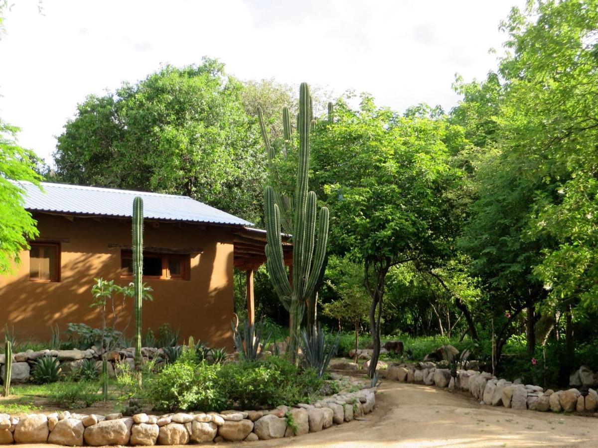 El Pedregal - Hotel En La Naturaleza Álamos Extérieur photo